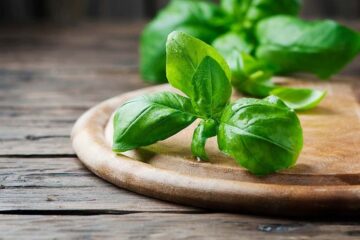 Does Basil Get Bitter When It Flowers?