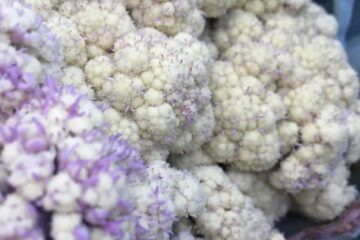 Why Is My Cauliflower Turning Purple and How to Solve It!