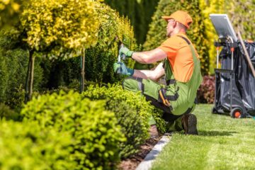 Not Enough Time To Maintain The Garden? Try These Time-saving Gardening Tricks