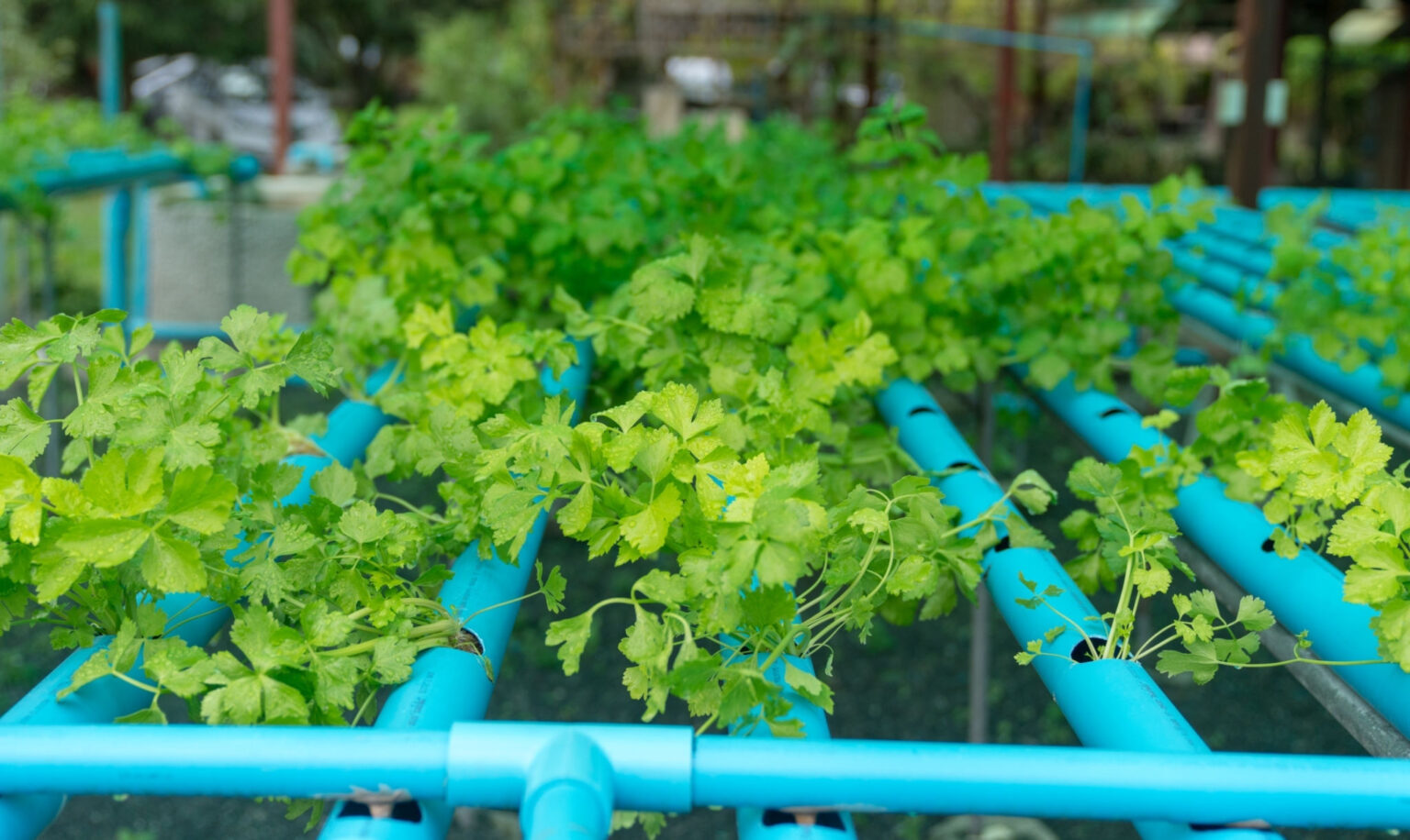 is-pvc-safe-for-hydroponics-behind-the-safety-of-these-plastics