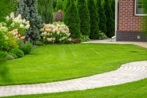 How to Keep Grass Green and Achieve a Healthy Lawn