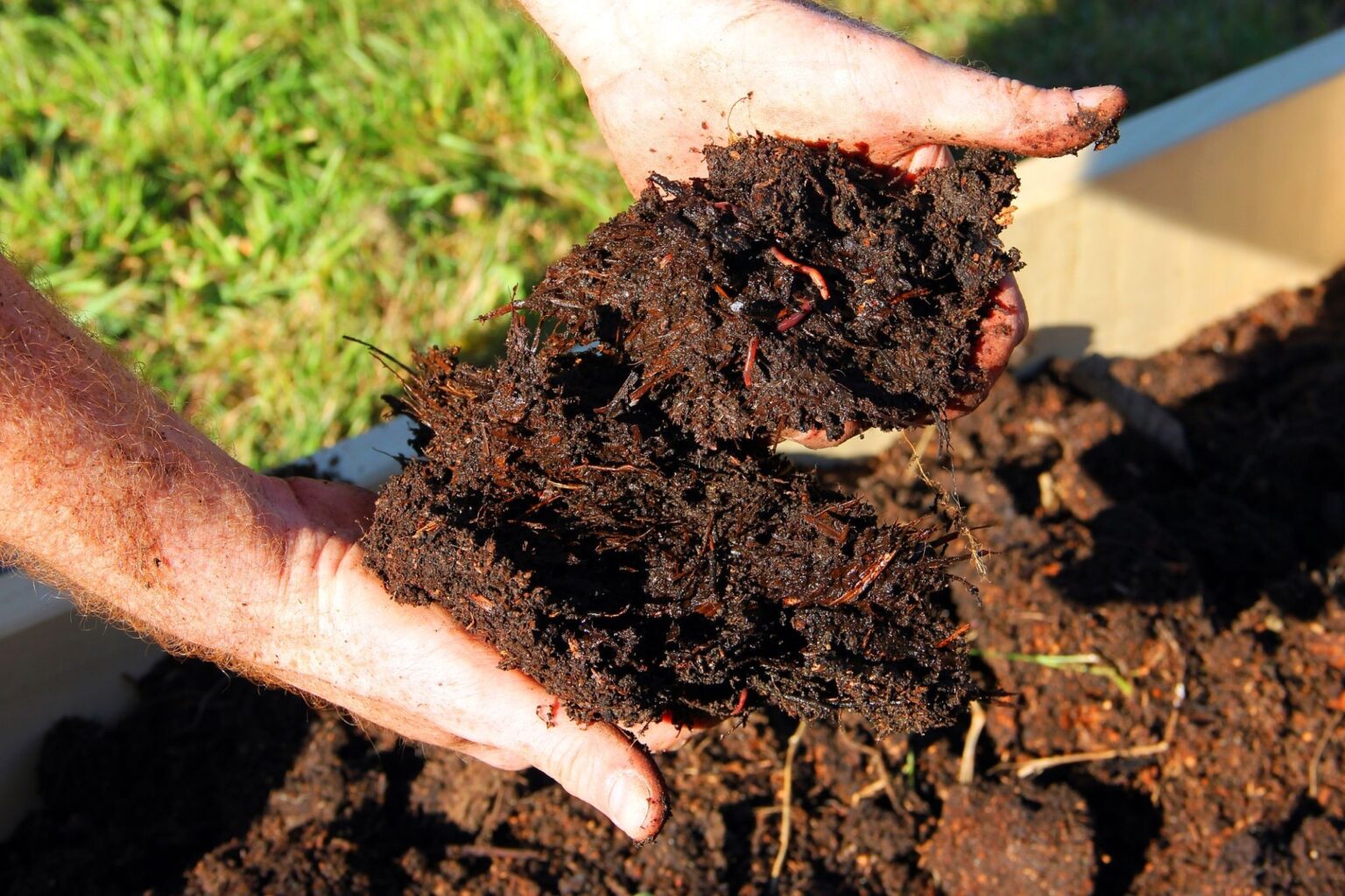 Is Horse Manure Good For Vegetable Gardens? Important Things You Need