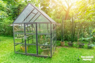 Things to Know When Building a Greenhouse Using Plexiglass Instead of Glass