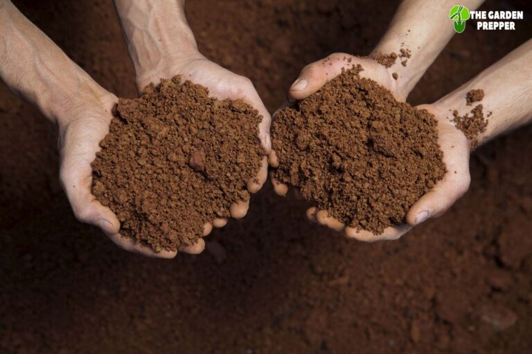 Types Of Fruit Trees That Grow In Clay Soil Know Before You Plant 