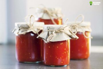 Preserving Tomatoes The Italian Way – Easier Than You Think!