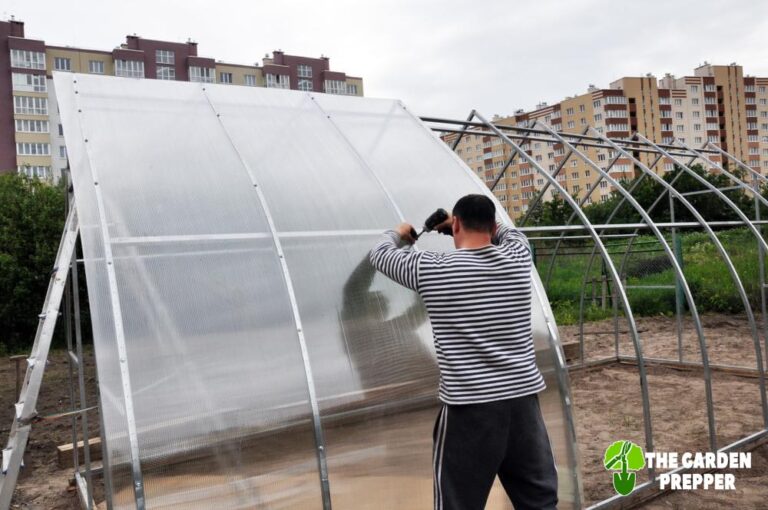 Things to Know When Building a Greenhouse Using Plexiglass Instead of Glass