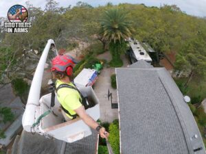 Tree Services Offered by Brothers in Arms Tree Service in Florida