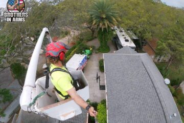 Tree Services Offered by Brothers in Arms Tree Service in Florida