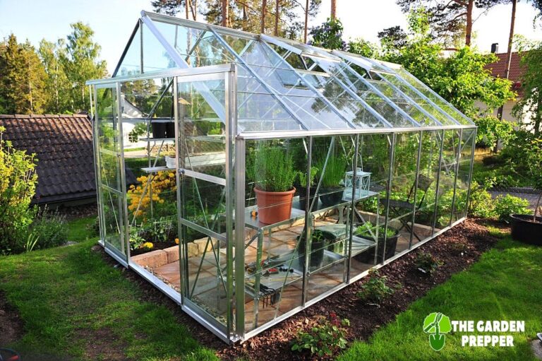 Things to Know When Building a Greenhouse Using Plexiglass Instead of Glass