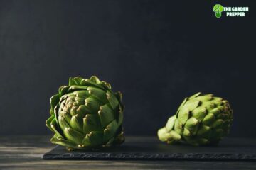 What Happens If You Eat the Hairy Part of an Artichoke?