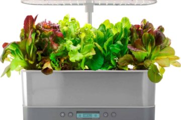 Aerogarden Harvest In The Test: Smart Garden For The Patient