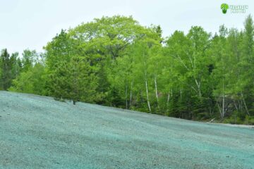 How Long Can Hydroseed Go Without Water?