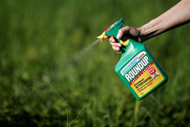 How Long Does Glyphosate Need to Be on Before Rain?