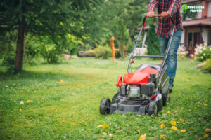 should i apply weed killer before or after mowing