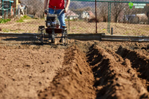 should i rototill my lawn before seeding