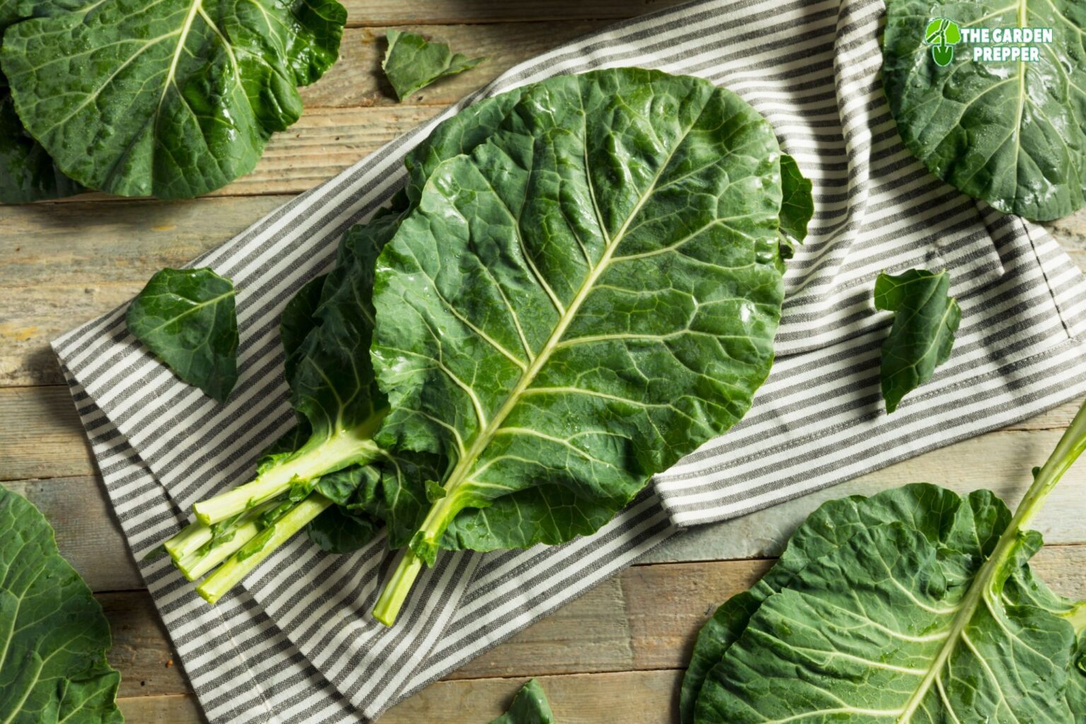 Do Collard Greens Come Back Every Year? (Answered)