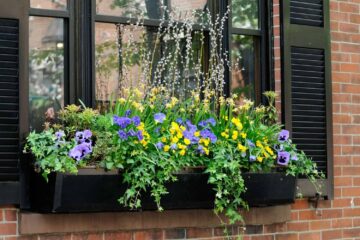 7 Reasons to Purchase Flower Window Boxes