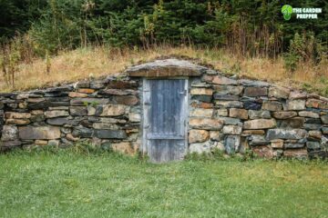 How Much Does It Cost To Build a Root Cellar and a Step by Step Guide to Build One