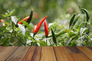 Cayenne Peppers Not Turning Red? Secrets You Need To Know