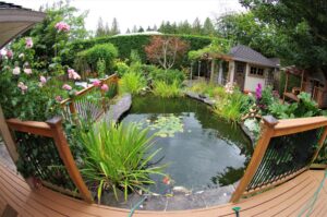 Maintenance And Care For Your Pond