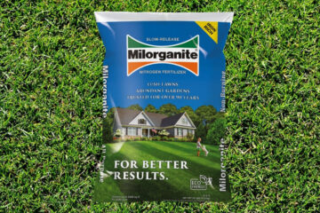 Is Milorganite Good For Centipede Grass?