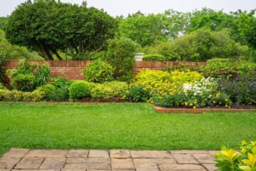 5 Ways to Keep Your Garden in Good Condition