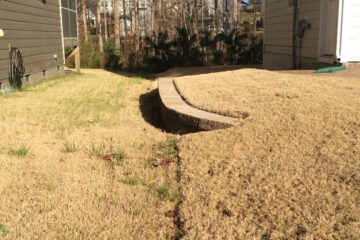 Does Zoysia Grass Go Dormant? (When And How To Do Maintenance?)