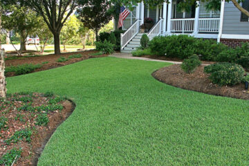 How To Get Zoysia Grass To Spread Faster (The Best Ways)