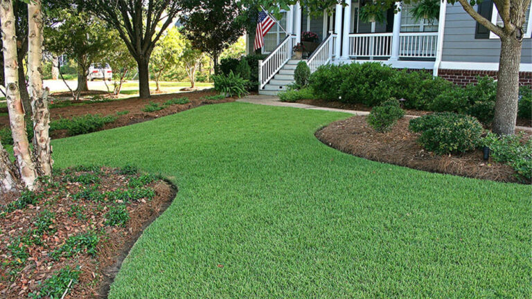 How To Get Zoysia Grass To Spread Faster (The Best Ways)