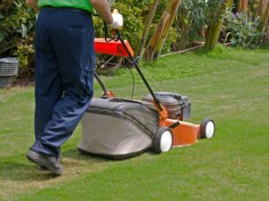 how to save grass that was cut too short