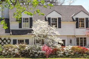 When Do You Plant Dogwood Trees? Some Useful Tips