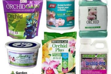 Can I Use Orchid Fertilizer On Other Plants?