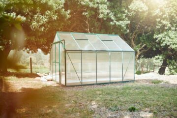 Tips on How to Grow a Greenhouse Garden