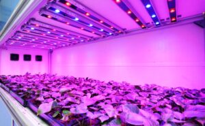 using led strips as grow lights