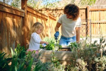 The Best Ways To Use Fencing For Privacy In Your Garden