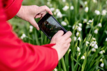 Best Plant-Care Apps You Must Download