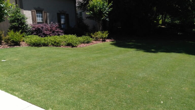 Bermuda Grass Yellow After Mowing - Avoid These Common Mistakes!