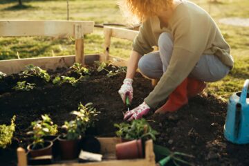 10 Essential Tasks for Lush and Healthy Garden Plants